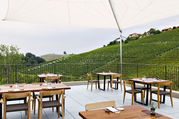 Vineyard - Réva Vino&Resort (Dogliani)