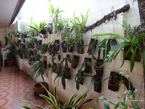 Jardín