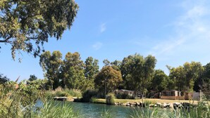 Um cenário tranquilo à beira do lago, com vista nítida da água, rodeado por vegetação exuberante e árvores.