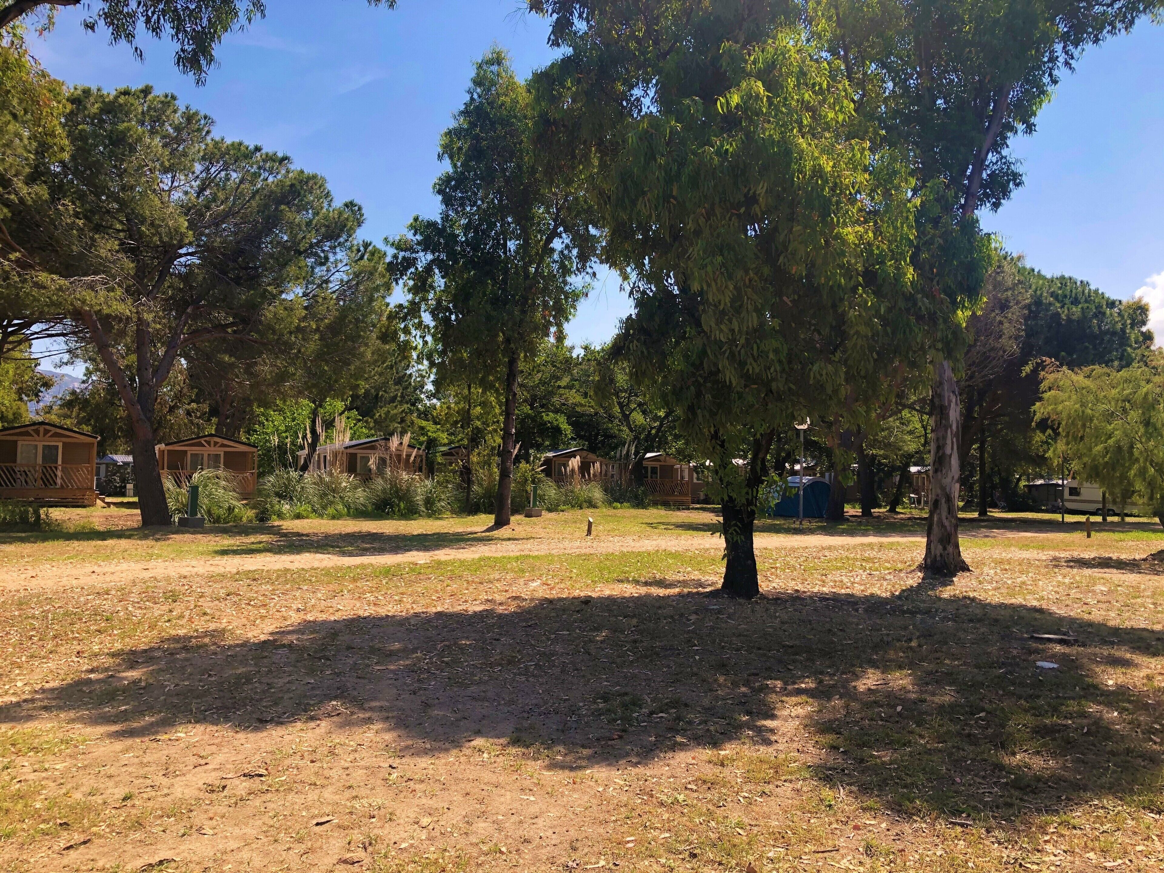 Ein Campingplatz mit mehreren Holzhütten, umgeben von Bäumen und offenen Wiesen.