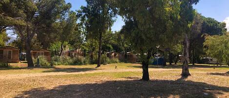 A campsite with several wooden cabins, surrounded by trees and open grassy areas.
