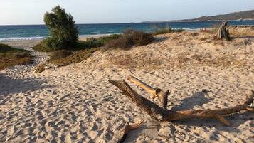 Una playa arenosa con un gran tronco de árbol caído en primer plano, un árbol pequeño y una vista distante del mar y las colinas.