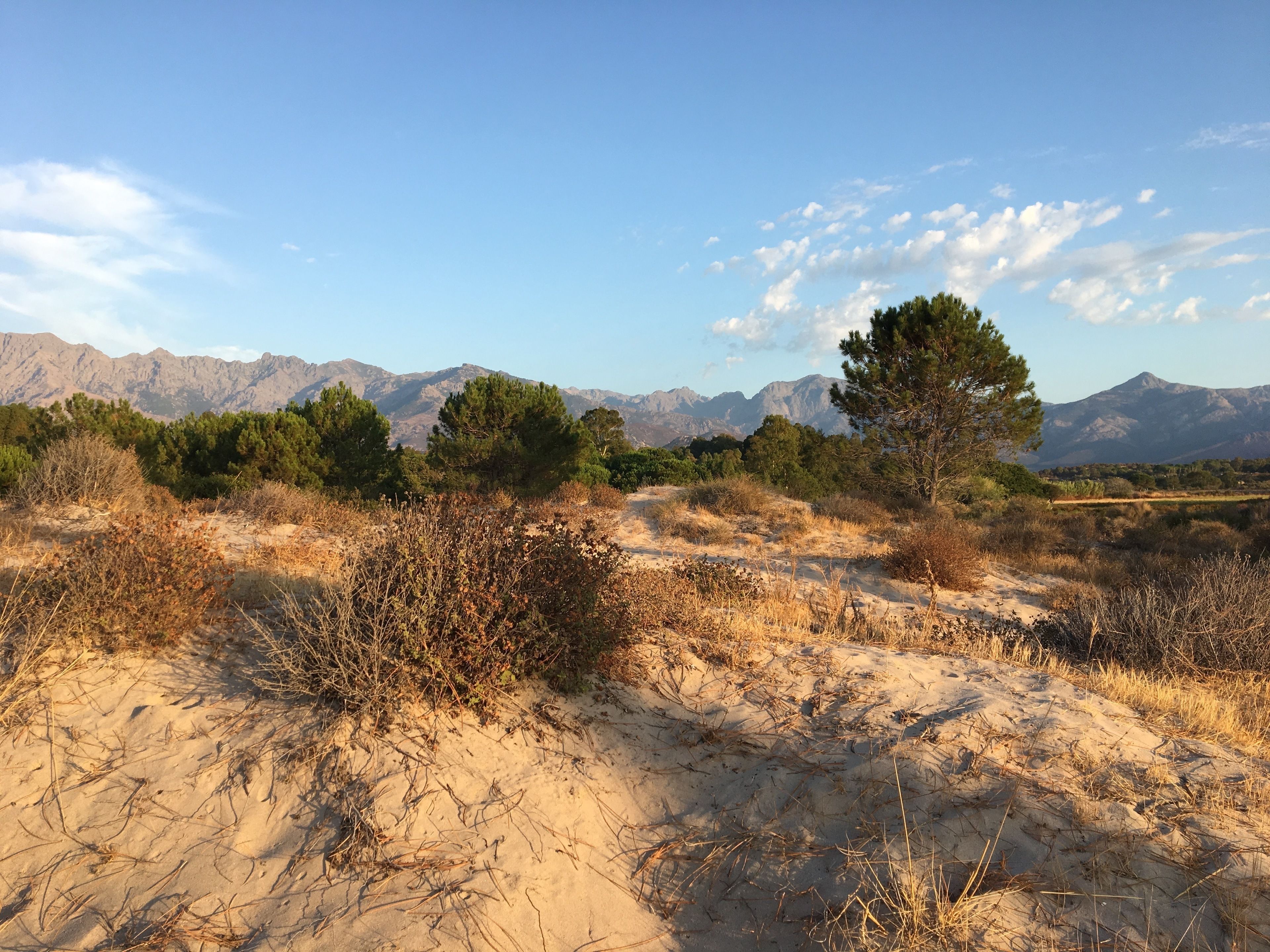 A natural landscape with a clear sky, mountains in the background, and sparse vegetation.