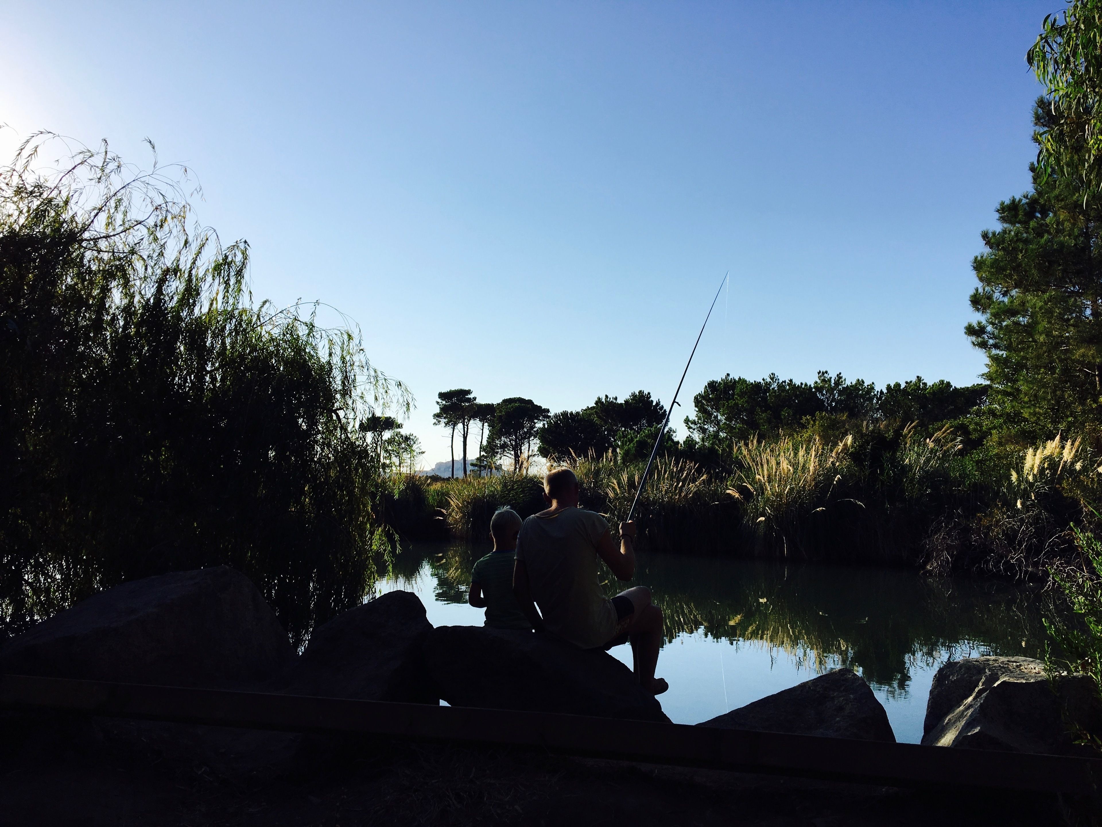 A tranquil outdoor setting with a person fishing by a calm body of water, surrounded by lush greenery and trees.