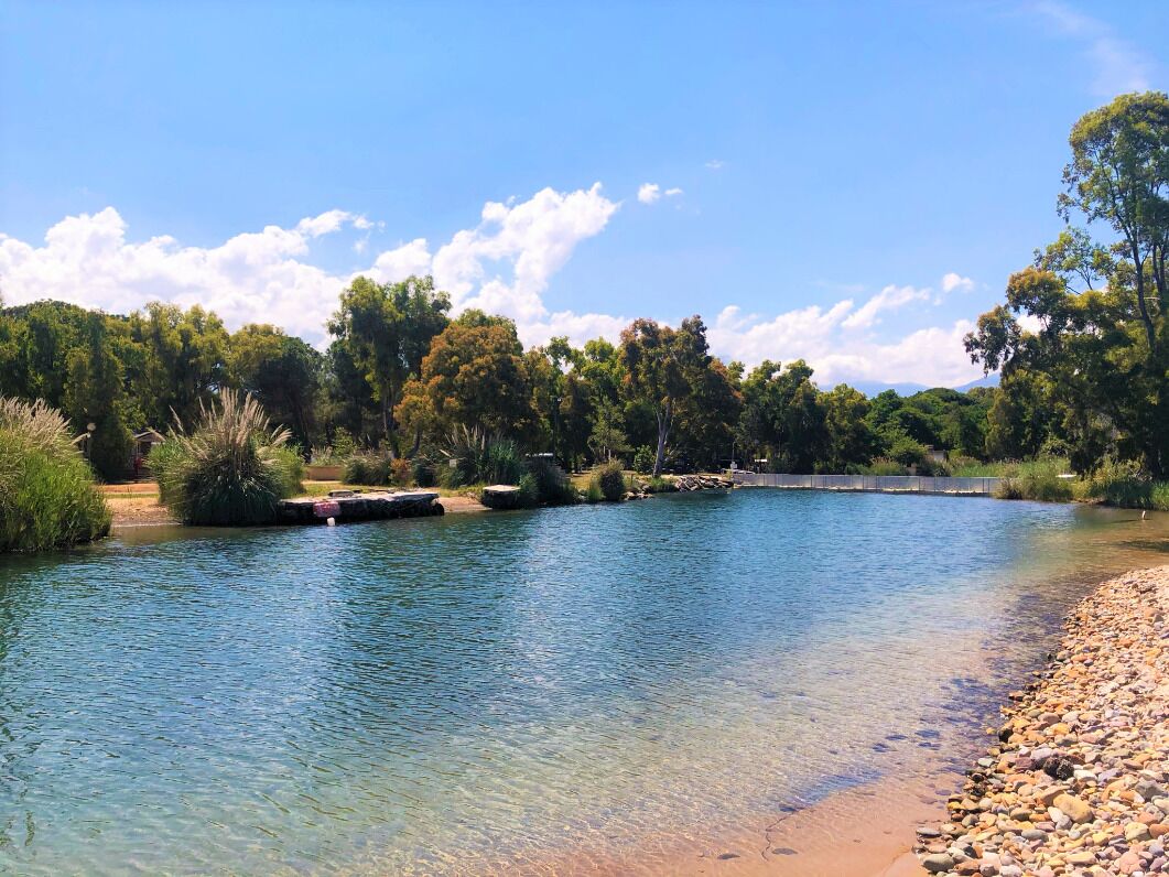 Ein klarer Fluss mit Kiesstrand und dichter Baumlandschaft im Hintergrund.