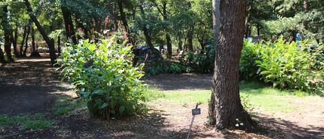 A forested area with a dirt path, dense greenery, and a signpost.