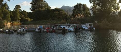 A row of boats docked at a marina with a mountain in the background.