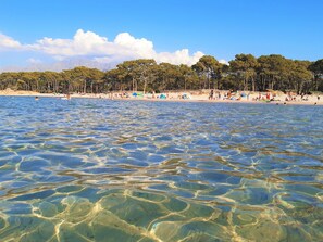 A beach with clear water, people sunbathing, and trees in the background. - Camping Dolce Vita (Calvi)