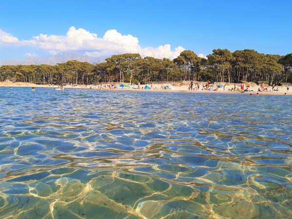 Trên bãi biển, câu cá