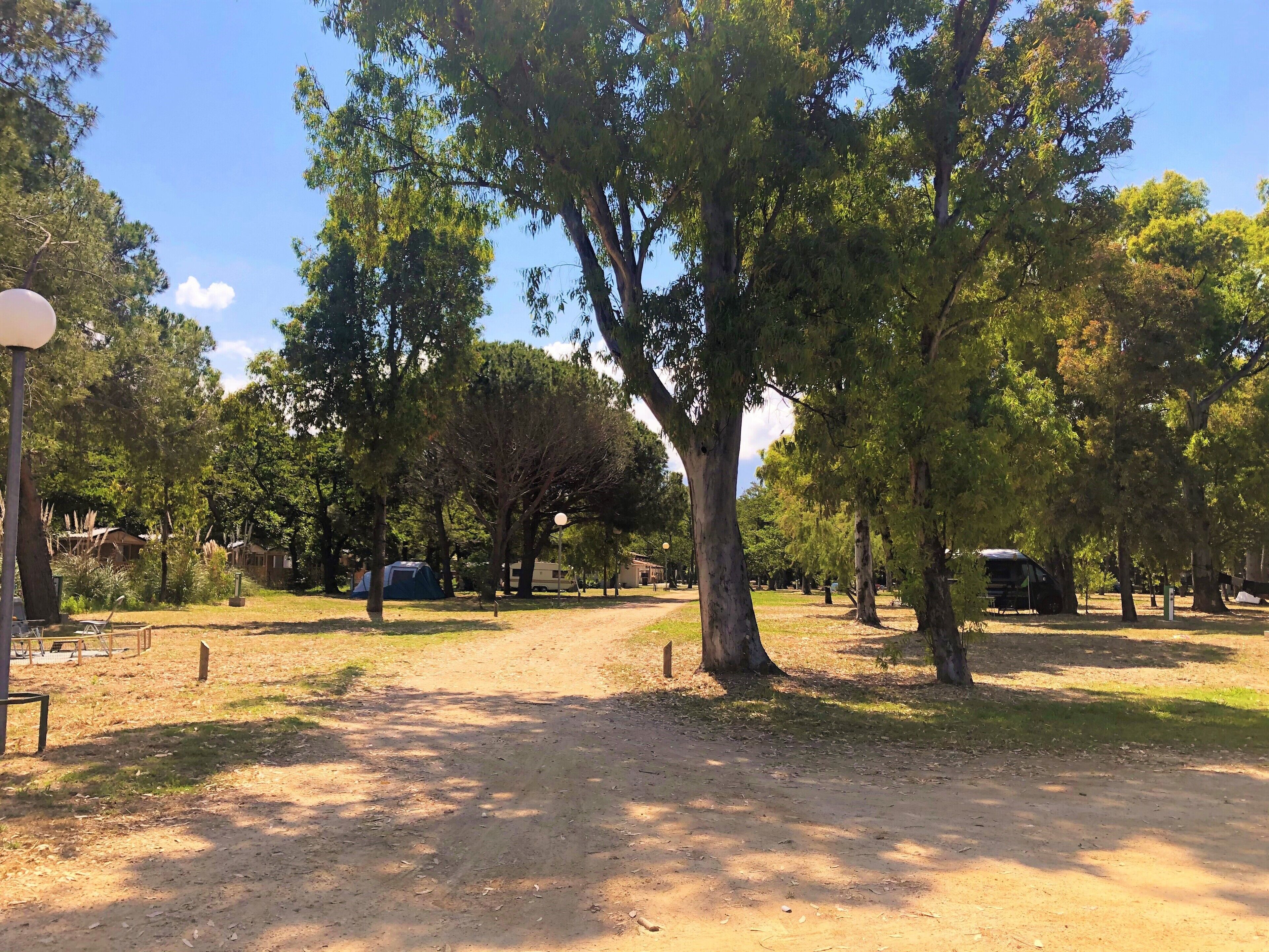Um camping com tendas, árvores e uma trilha de terra.