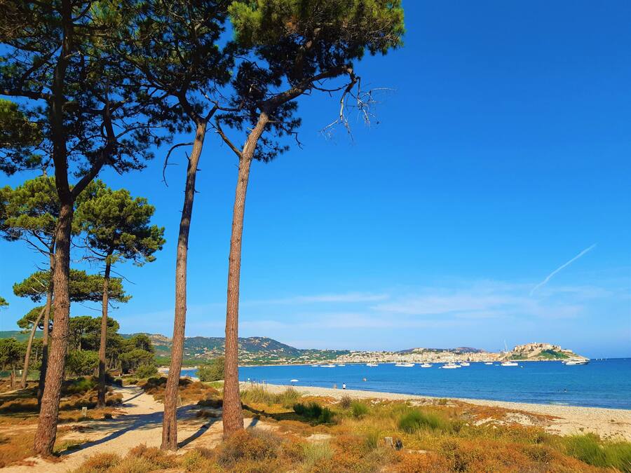 Am Strand, Angeln