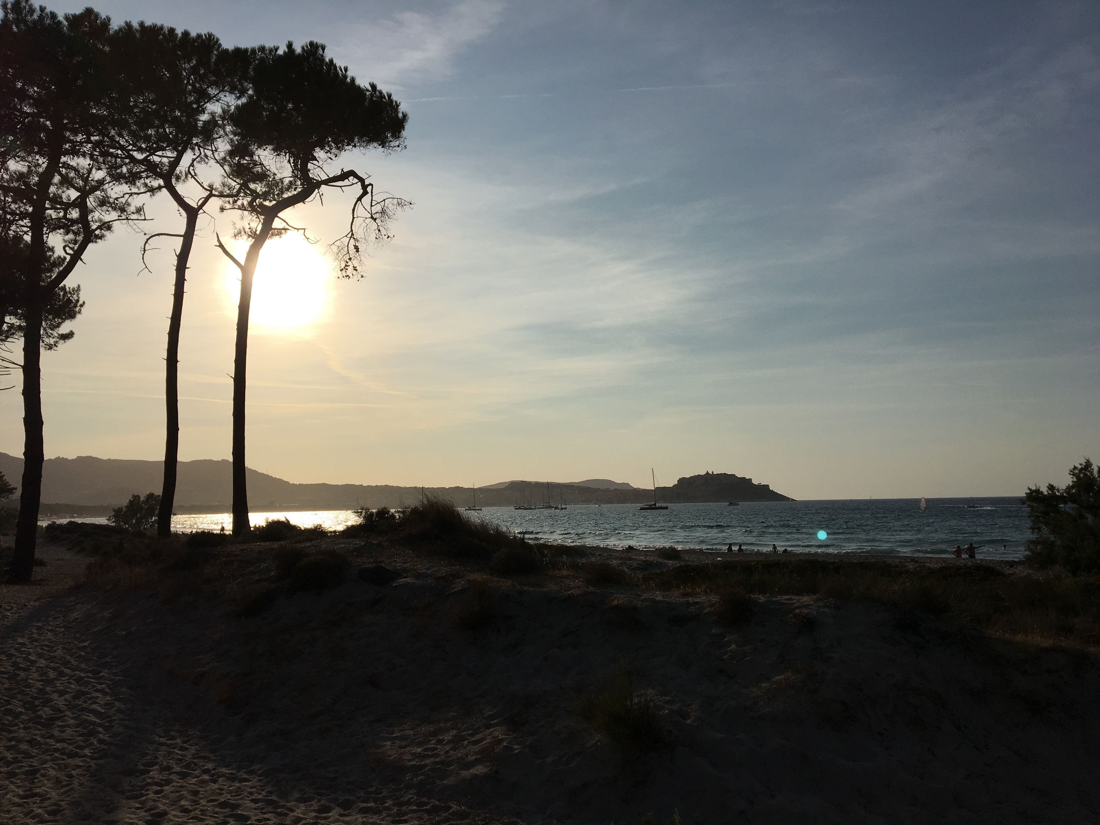 A beach with trees, a clear sky, and the sun setting over the water.