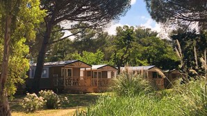 Fileira de cabanas de madeira com varanda, rodeada por árvores altas e relva.