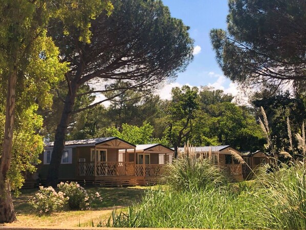 A row of wooden cabins with a deck, surrounded by tall trees and grass. - Camping Dolce Vita (Calvi)