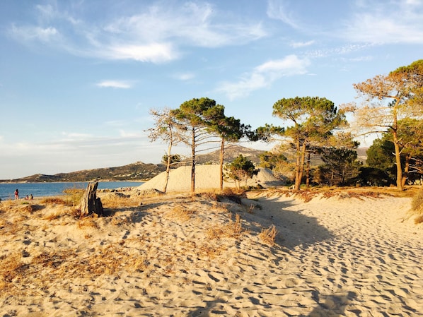 On the beach, fishing