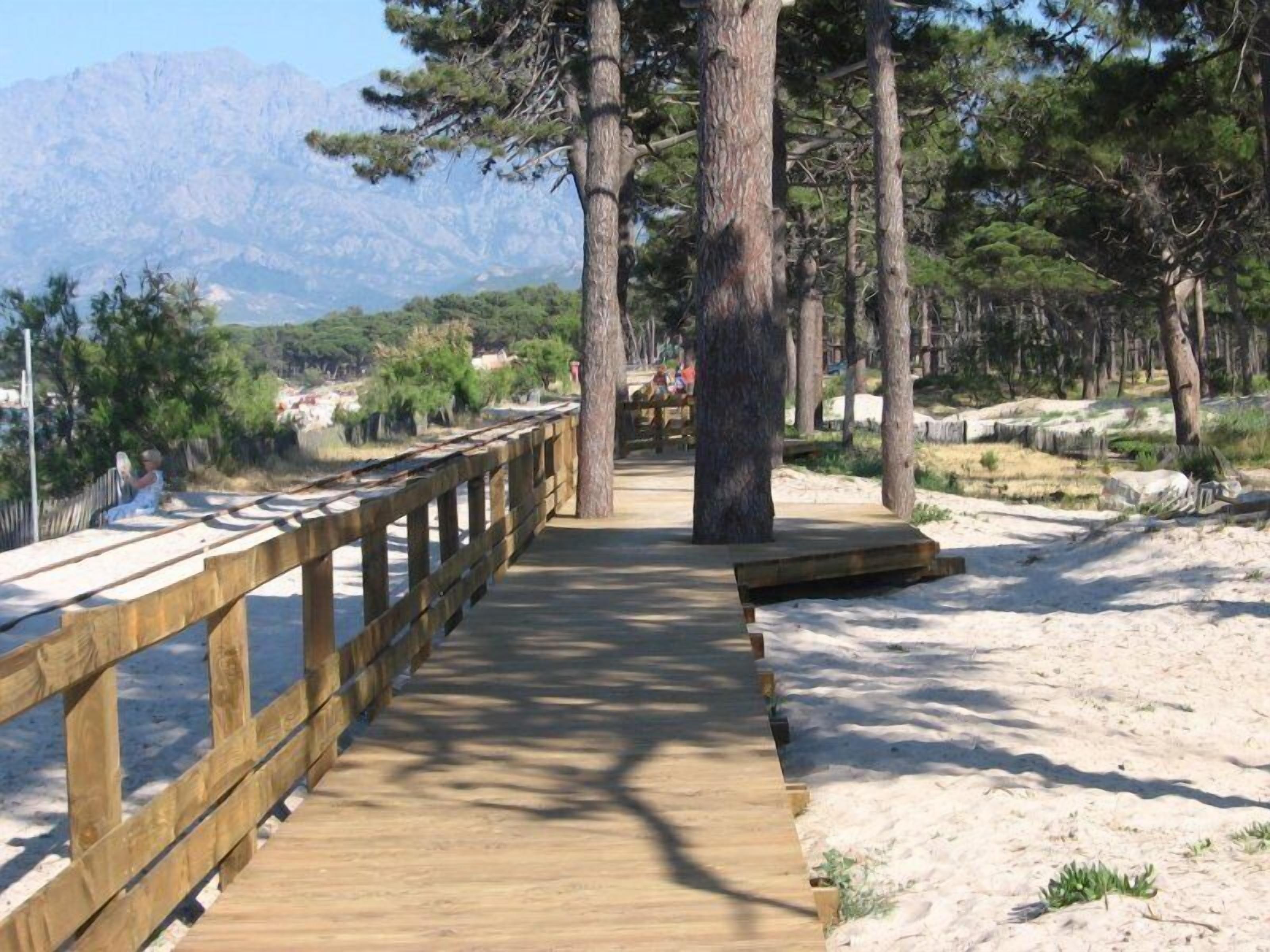 Une promenade en bois mène à une zone sablonneuse, avec des arbres et des montagnes en arrière-plan.
