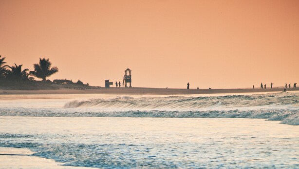 Uma praia com ondas, uma torre salva-vidas e palmeiras.