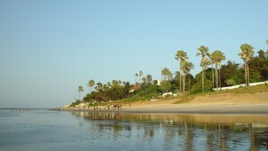 Uma praia com palmeiras e céu claro.