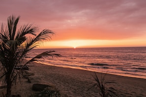 Vue sur la plage/l’océan