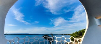 Shark and Turtle Studio Retreats at Swan Villas