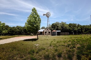 Exterior - Francesca's (Fredericksburg)