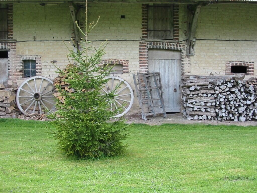 Un edificio con fachada de ladrillo, una puerta de madera y una ventana. Hay un árbol pequeño al frente.
