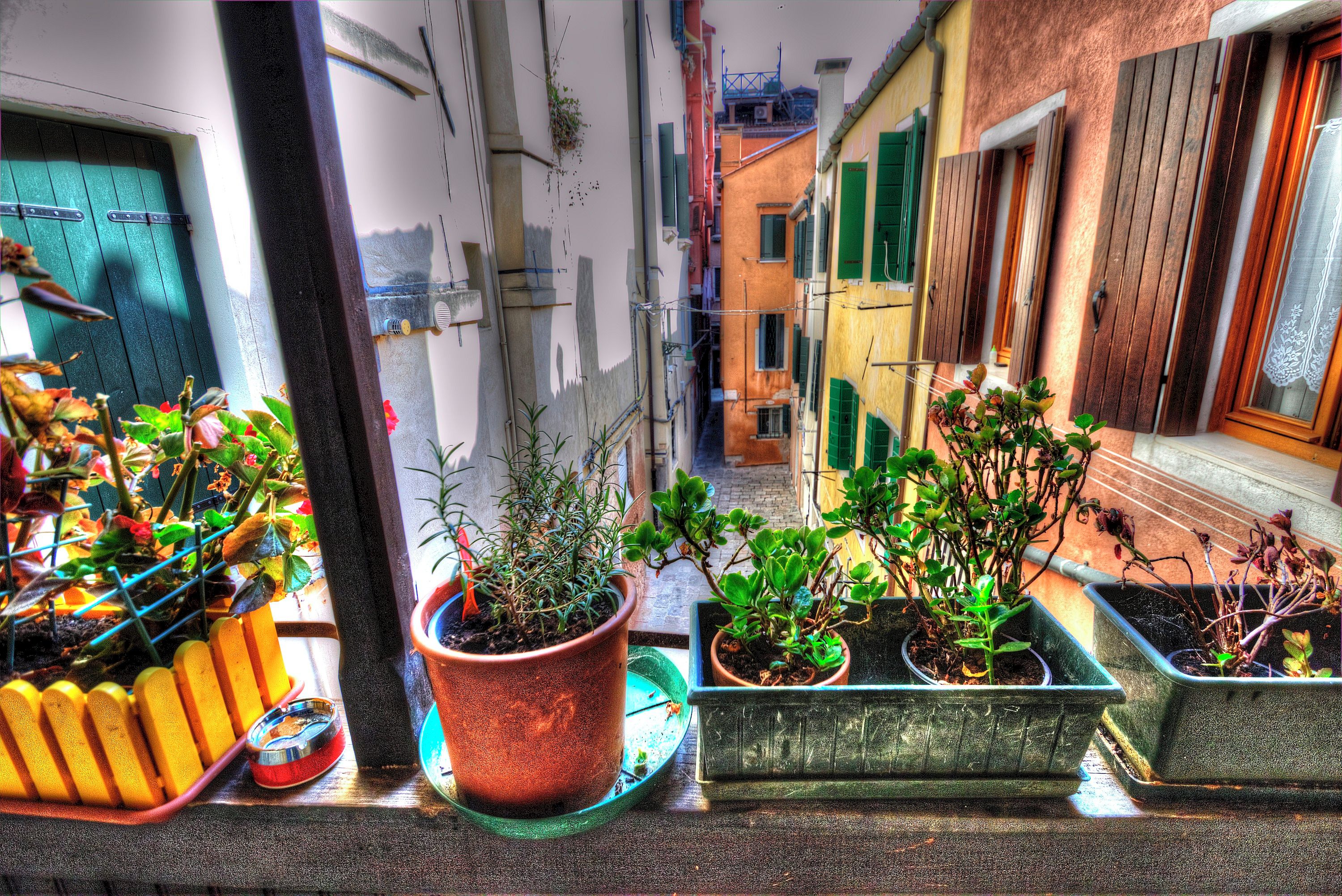 A narrow alley with potted plants and a small table.