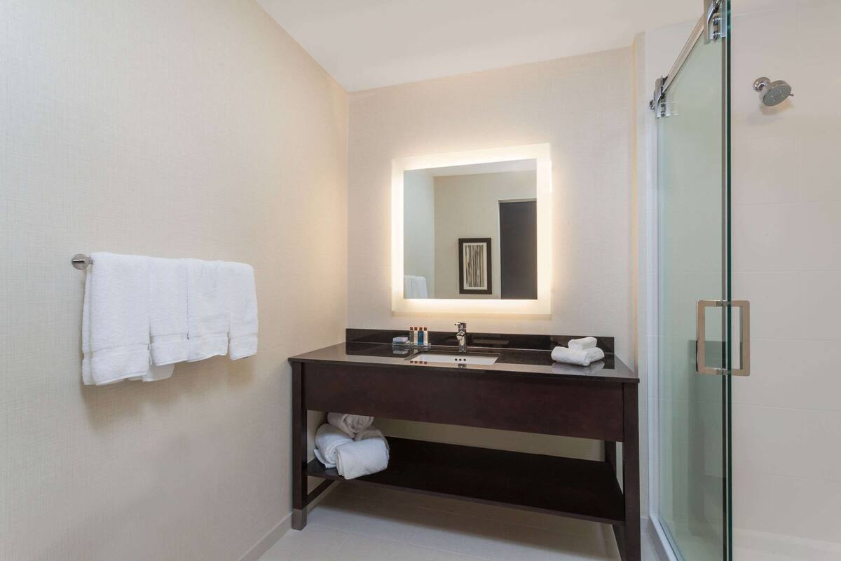 shower, free toiletries, hair dryer, towels