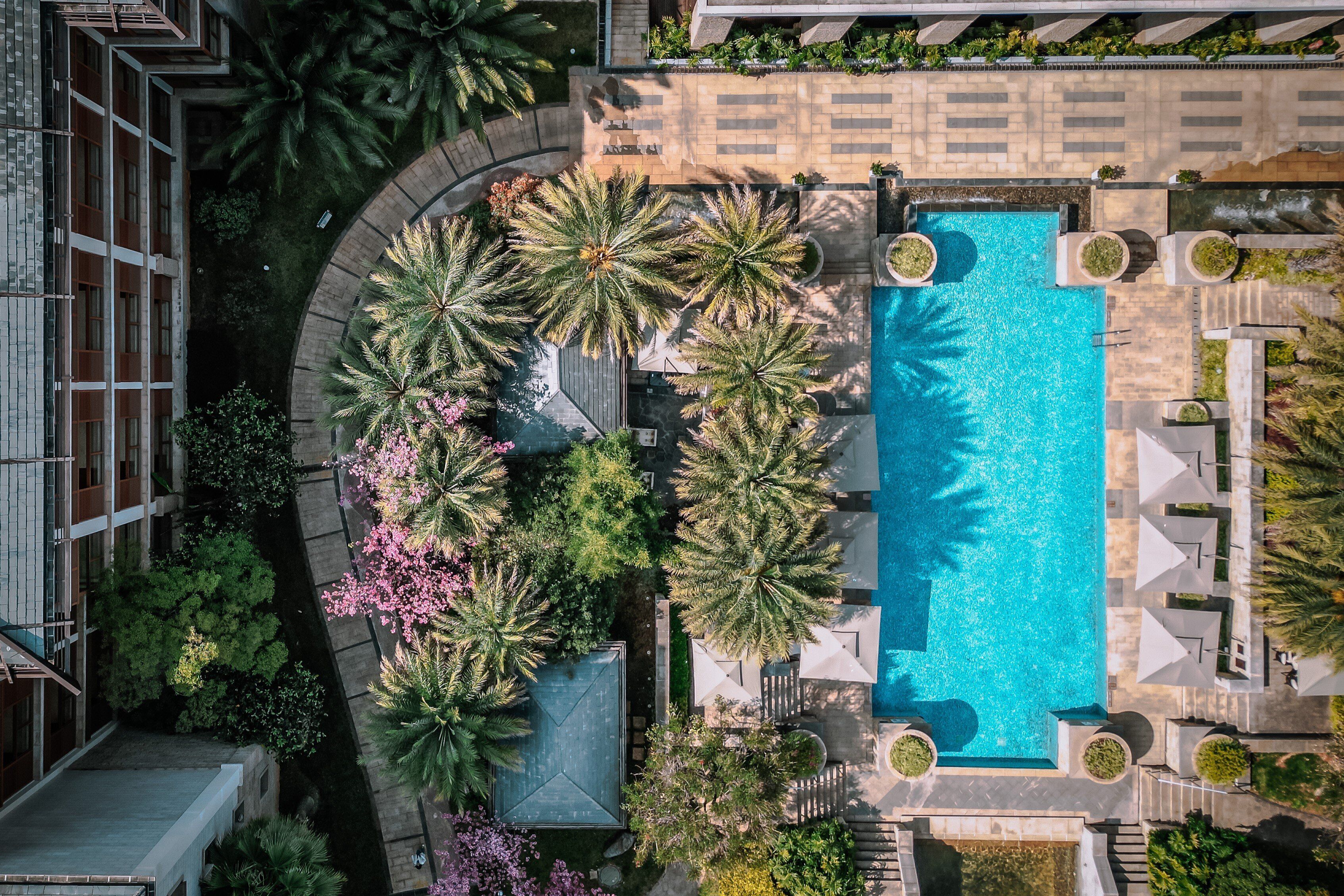 An aerial view of a hotel with a rectangular swimming pool surrounded by palm trees and lounge chairs.
