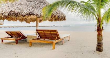 Marlin and Whaleshark Suites