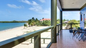 Unclassified image, 5 of 80, button - Imperius Rex Villa (Placencia)