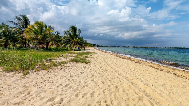 Unclassified image, 1 of 80, button - Imperius Rex Villa (Placencia)
