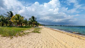 On the beach, sun-loungers
