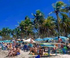 Ubicación a pie de playa, arena blanca, tumbonas y sombrillas