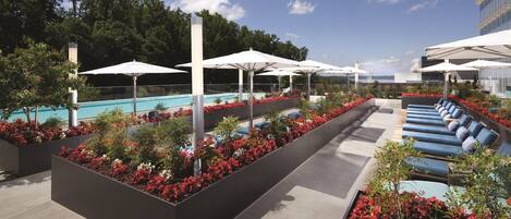 A rooftop pool area with sun loungers and umbrellas, surrounded by flower beds and a view of the city skyline.