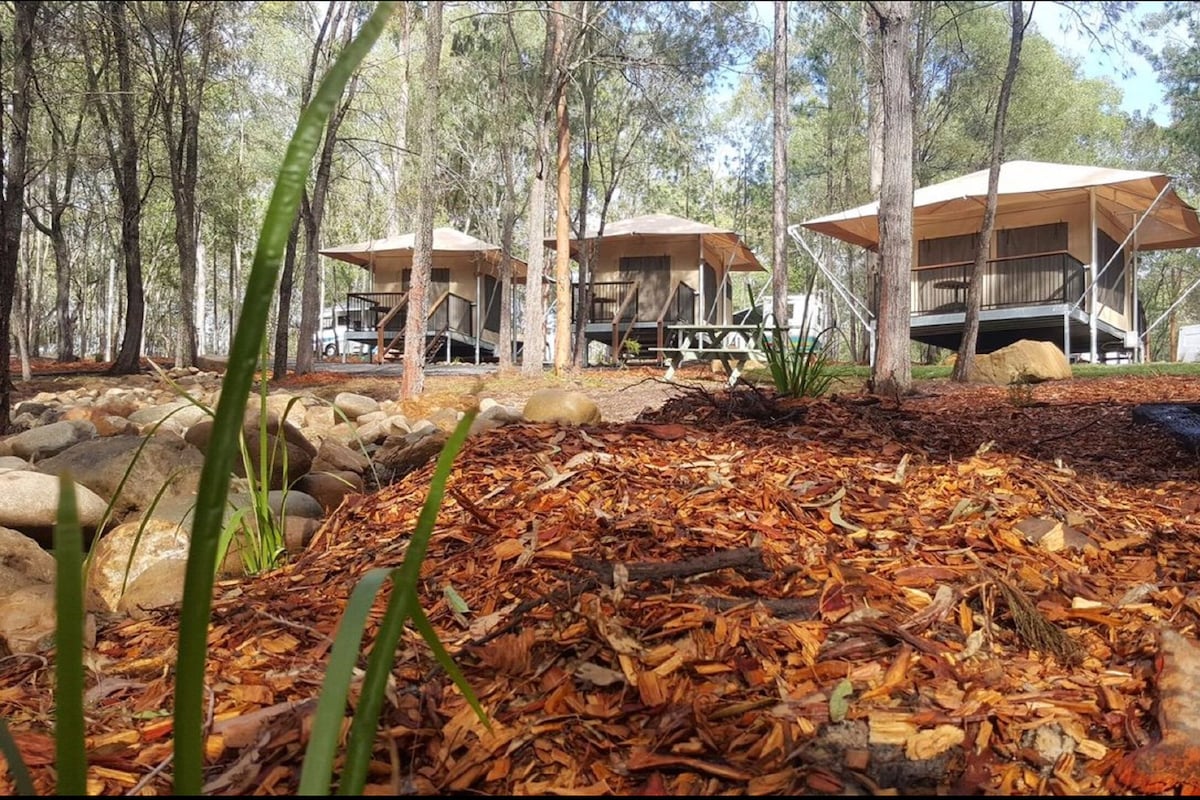 Dos cabañas de madera en un bosque con suelo cubierto de hojas y rocas.