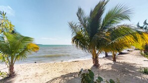 Una spiaggia con palme e una riva sabbiosa.