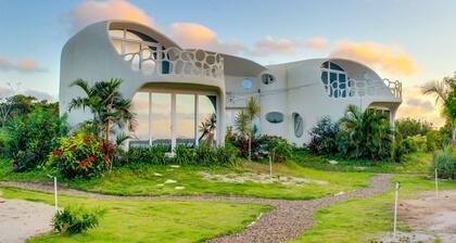 Lion Fish Retreat at Swan Villas