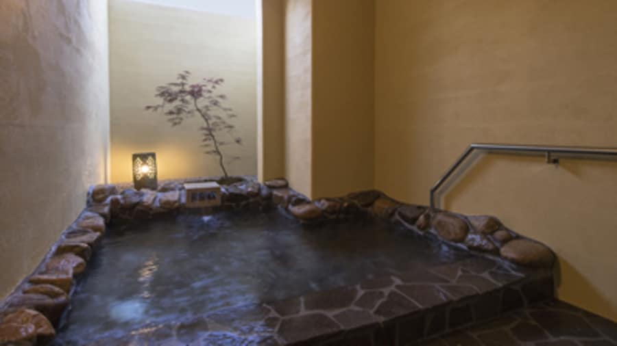 Green Rich Hotel Izumo Artificial Hot Spring Futamata Yunohana