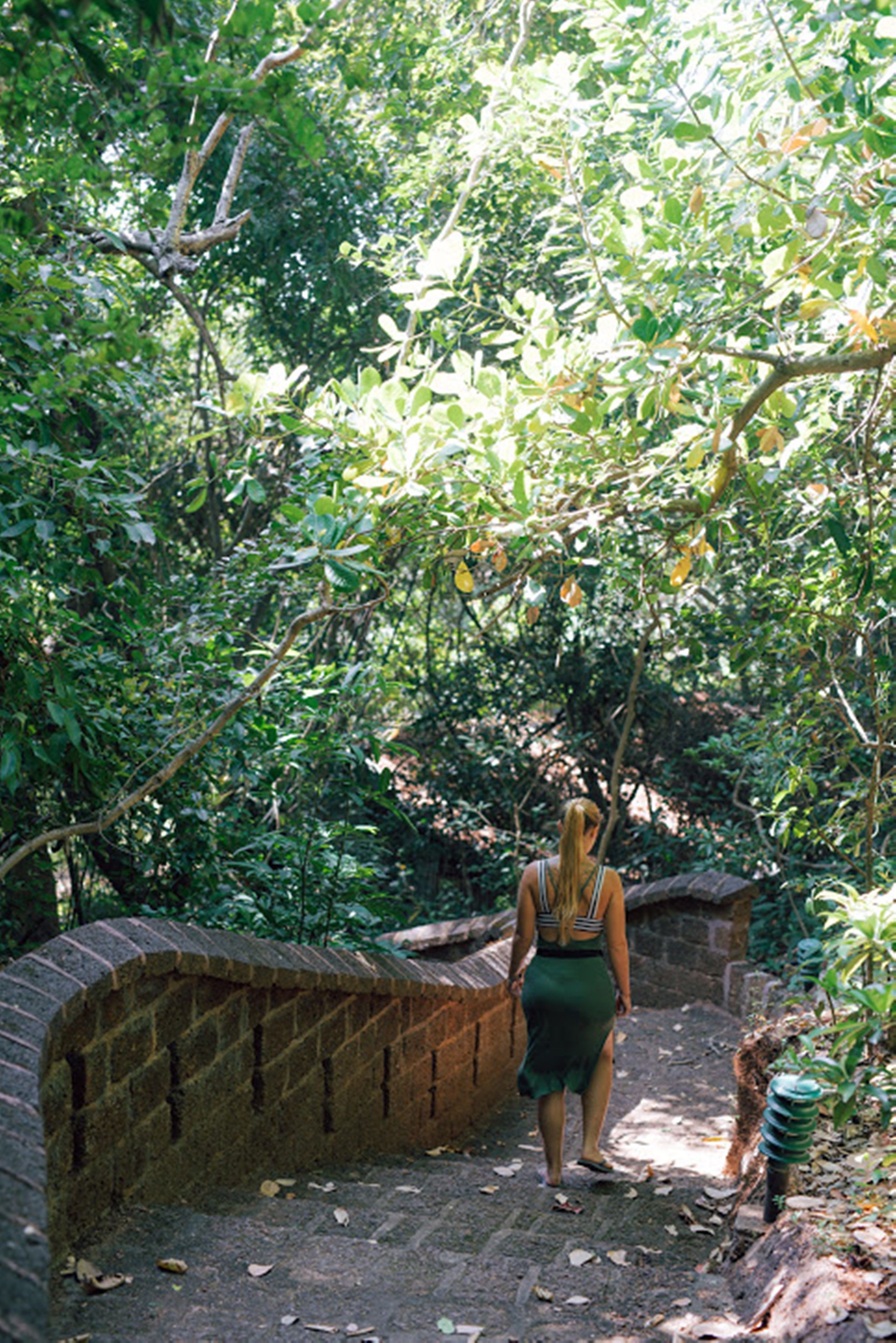 A woman walking on a brick pathway surrounded by dense foliage.
