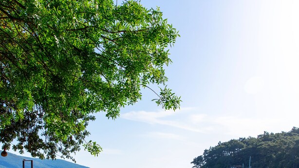 외부 세부 사진