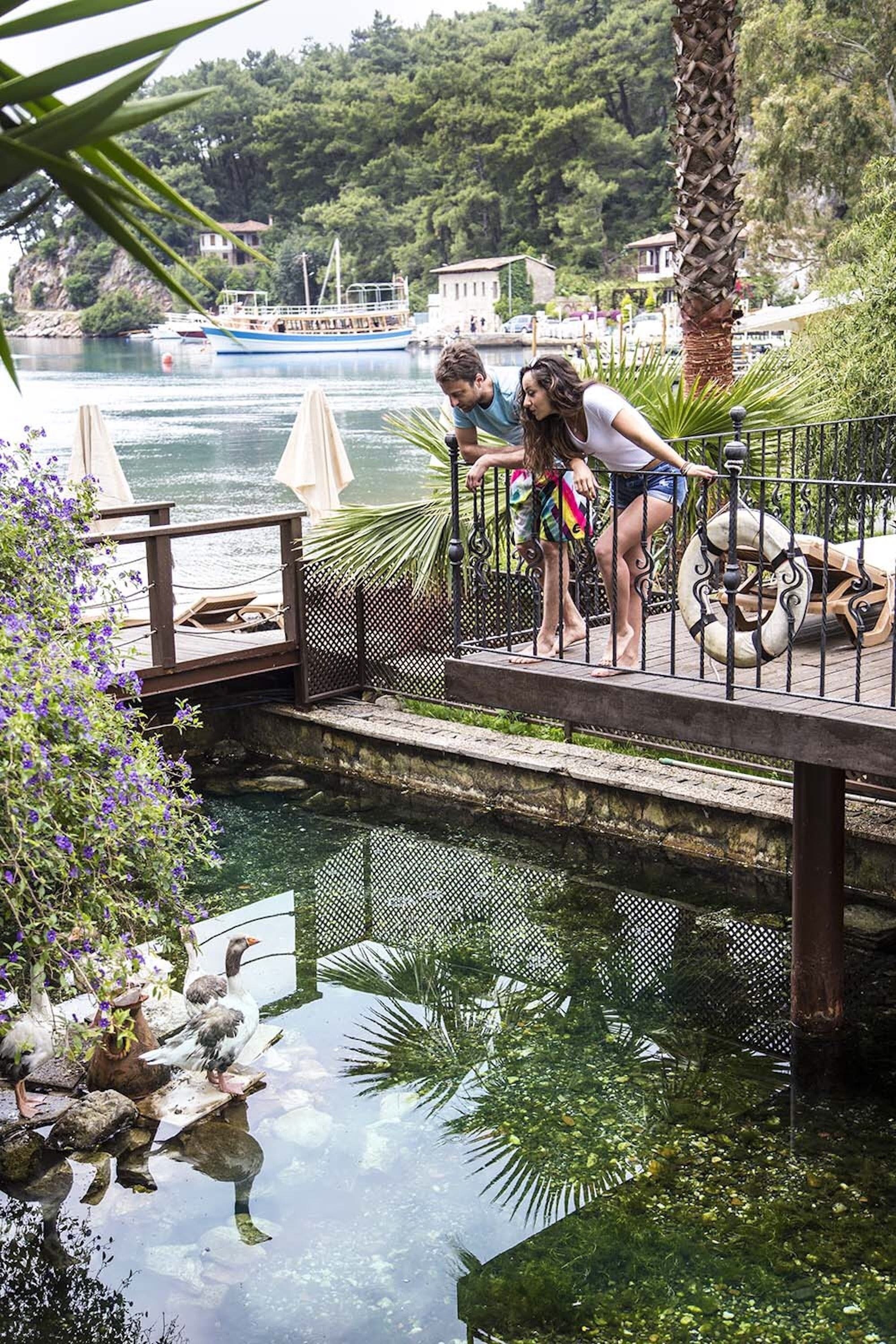 A wooden dock over a pond with a railing, surrounded by greenery and a view of boats on the water.