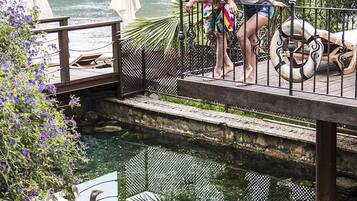A wooden dock over a pond with a railing, surrounded by greenery and a view of boats on the water.