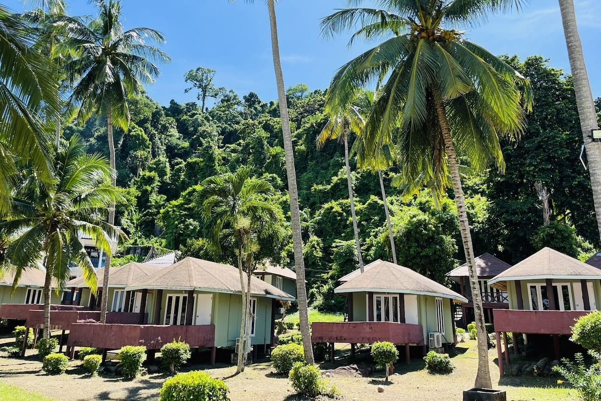 A resort with multiple bungalow-style buildings surrounded by palm trees and lush greenery.