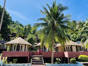 Un resort con varias construcciones tipo cabaña, palmeras y un cielo azul despejado.