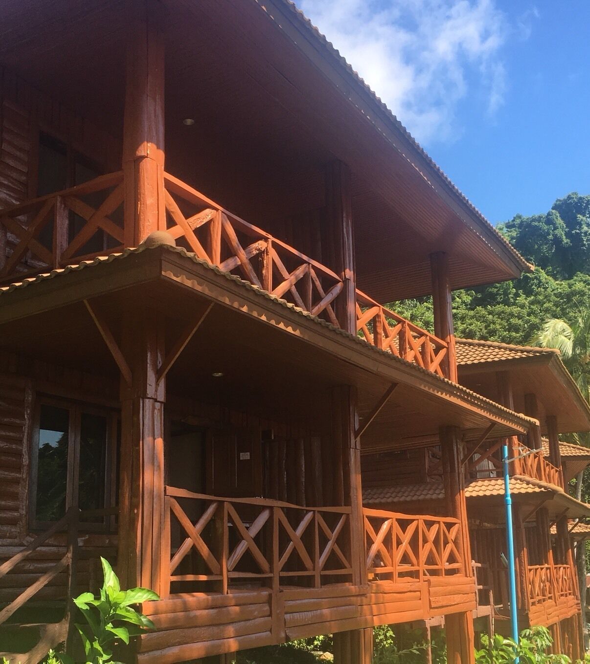 Een houten chalet met een balkon, omringd door weelderige begroeiing.