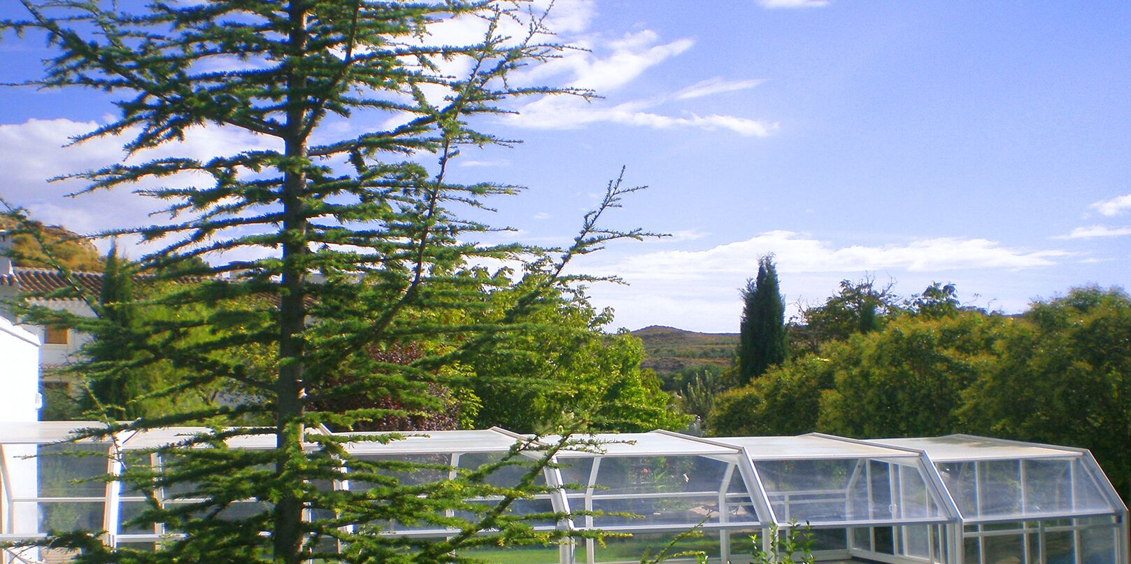 A greenhouse structure with transparent panels, surrounded by lush greenery and a clear sky.