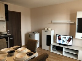 Una televisión de pantalla plana, una chimenea