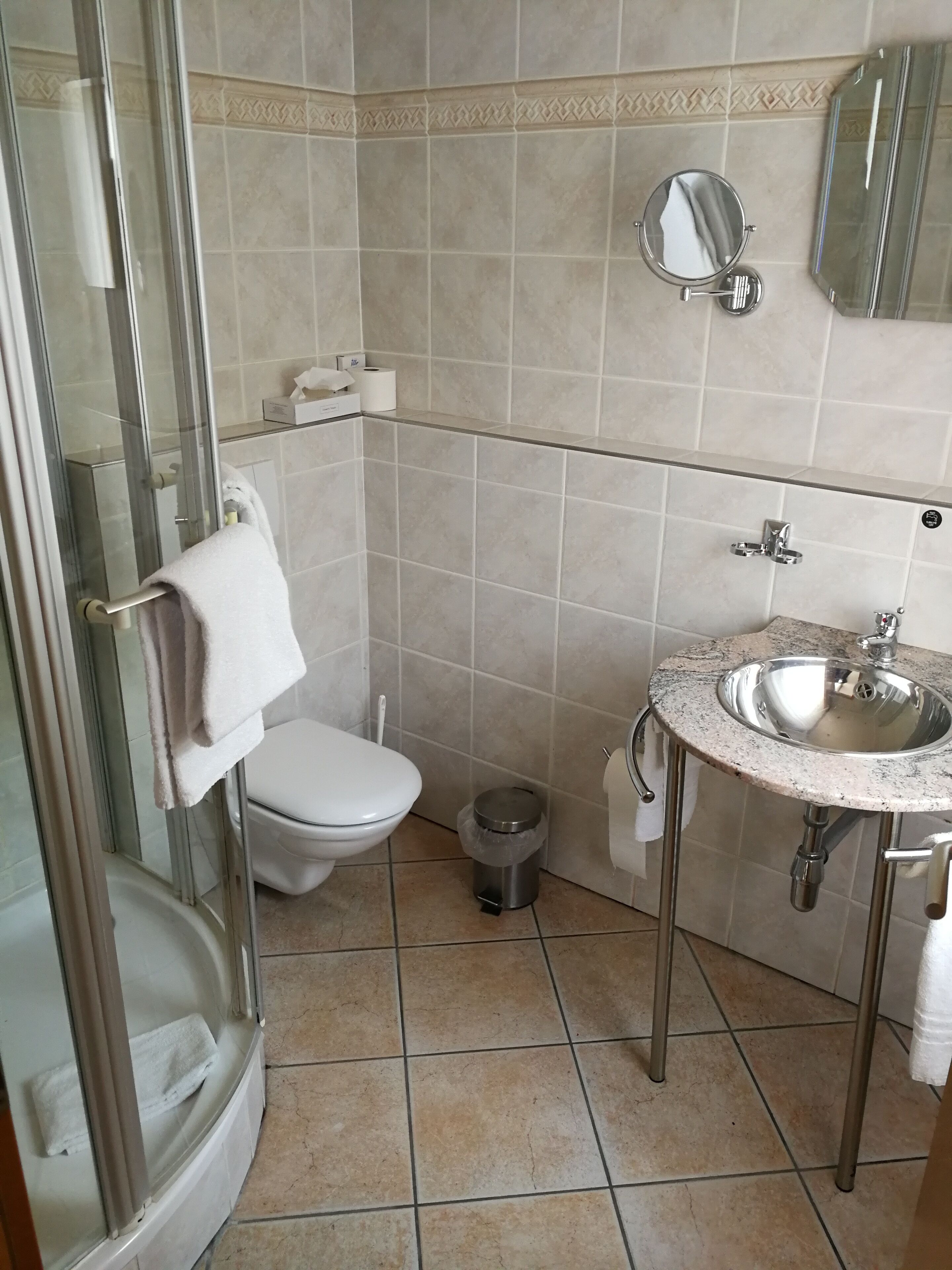 Ein Badezimmer mit Duschkabine aus Glas, Toilette, Waschbecken mit Spiegel darüber und Mülleimer.