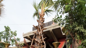 A large, rustic metal sign with the words "Temple Retreat" engraved on it, surrounded by lush greenery and a traditional building in the background. - Golden Temple Retreat (Siem Reap)